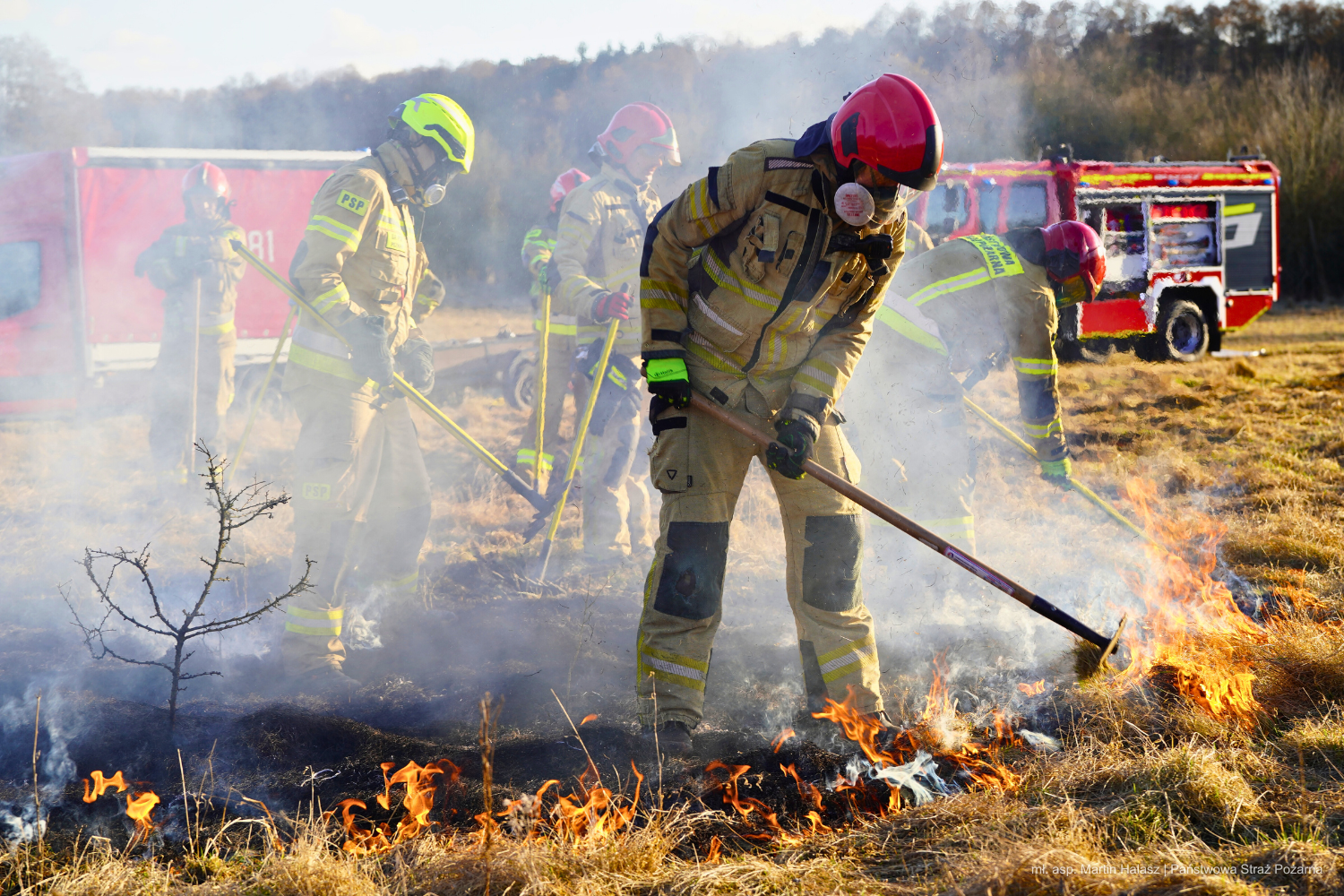 Pożar trawy